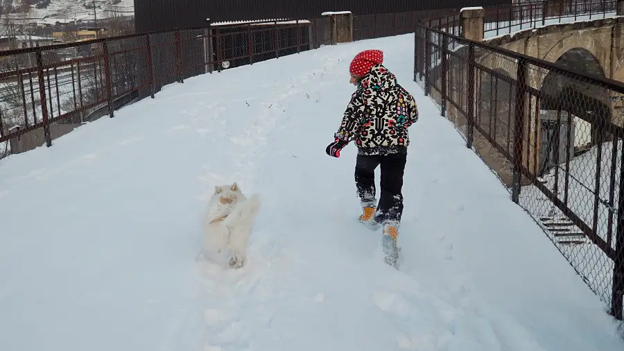 Mädchen läuft mit Hund durch den Schnee